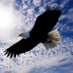 Born of God (@born_of_god_37) Twitter profile photo Born of God (@born_of_god_37) Twitter profile photo
