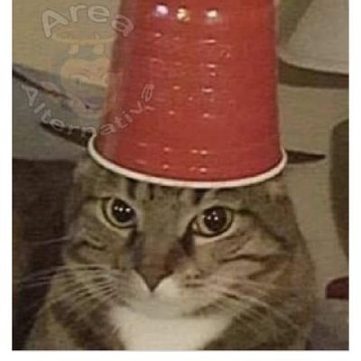 JesusPe59428078's profile picture. Lolita-lana del rey