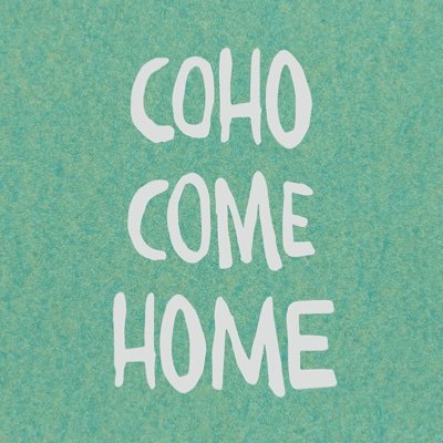 Photographer
https://t.co/XNA2uucSx9
新刊 『Coho Como Home』2024.8.15 発売
https://t.co/JKrjxbxaFd
『キプカへの旅』
https://t.co/vWXf9rvPZ5