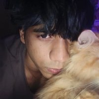 diencephalon 🇵🇸 (@andhuuu_04) 's Twitter Profile