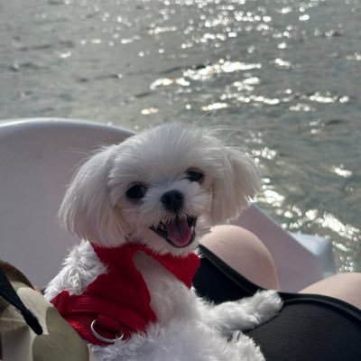 hopekgfyy's profile picture. 