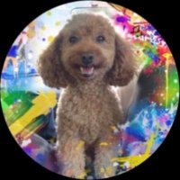 くりたん (@kuritam_1028) 's Twitter Profile Photo くりたん (@kuritam_1028) 's Twitter Profile Photo