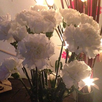 ja_penguin49097's profile picture. 