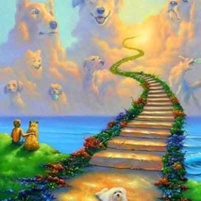 ROCKPOP134's profile picture. 