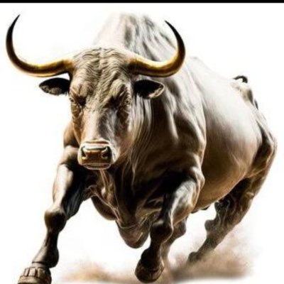 ZainabS36911474's profile picture. XFT7W3VJ