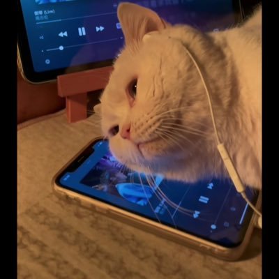 nicolezzz0119's profile picture. 