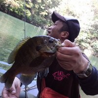 sessue (@junyokota) 's Twitter Profile