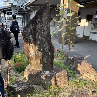 stmvmax's profile picture. 仕事で年間の半分くらいは出張するのでその時の記録がてらに。たまーにプライベートも