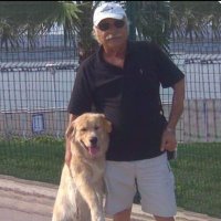 Murat Ince (@muratin37578008) 's Twitter Profile
