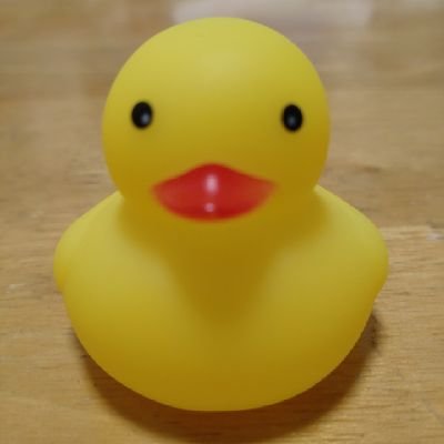 poporongamebook's profile picture. 小学生の頃にハマったゲームブックのマイブームが再来📔✏️🎵少しずつゲームブックを収集しています📖🎲🎵
本で遊べる魅力が詰まったゲームブックが楽しいです🎮📕🎵
ミステリー小説も大好きで古今東西の作品を読み漁っています📚📍🎵
読書好きな本の虫です☺🎶