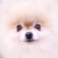 みらい (@m_o7_ri) 's Twitter Profile