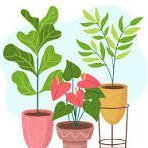 spécialiste en rien, intéressée par tout
sneakers addict, maman, fan d’histoire, de medecine, de plantes, de F1, de voile et de bien d’autres choses encore.