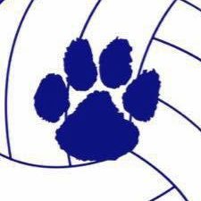 Princeton Tigresses VB Profile