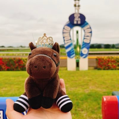 出資馬 アエラリウム(DMM)&ステライヴ(広尾) / 競馬とサウナとプロレスと麻雀と音楽が好き/ Drums&Bass&cajon / 福永さんとコントレイル世代を愛しています