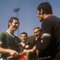 Sihirli Kedi (@sihirli_kedi) 's Twitter Profile Photo