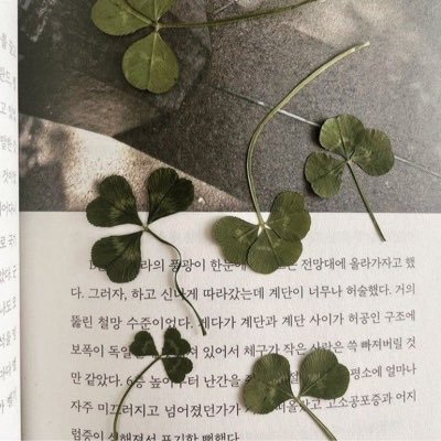 ลงของทุกอาทิตย์ l new & used. ฝากถุงแจ้งได้นะคะ𓍲𓍯shipping 40.- (พื้นที่ห่างไกล/ท่องเที่ยวพิเศษ+10) #d3cemberaun #รีวิวให้คูมอัน