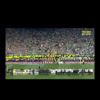 moppy (@moppy71) 's Twitter Profile