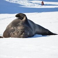 Ellie Race-Moore (@ellieracemoore) 's Twitter Profile