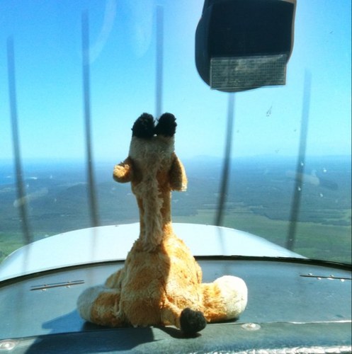 Matt__35's profile picture. 