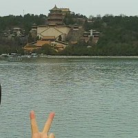 silly jiang (@jiangsilly35518) 's Twitter Profile