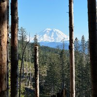 Hank H 🇺🇸 (@getmypopcorn) 's Twitter Profile Photo