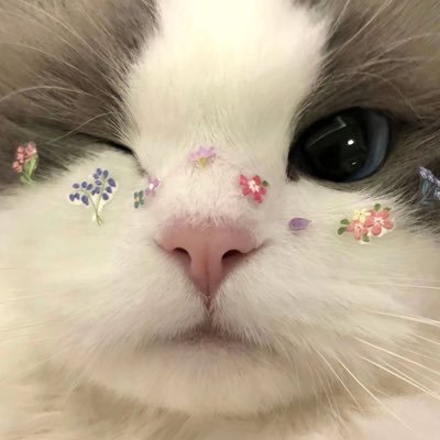 อพทซさんのプロフィール画像