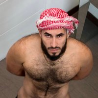 Arabian Wolf (@arabianwolf93) 's Twitter Profile