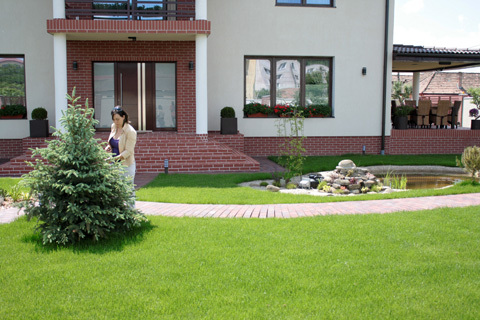 amenajarigradin's profile picture. Servicii de amenajari gradini si spatii verzi, sisteme irigatii automate, proiectare peisagera, ingrijire gradini, plante ornamentale