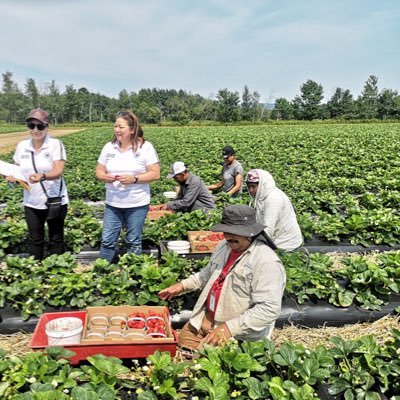 JulissaHDG6's profile picture. Mujer de visión, con alma firme y pasos de propósito. Vuelo con intención: creo, transformo y avanzo.