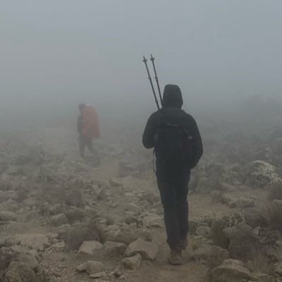 franzgoerlich's profile picture.
