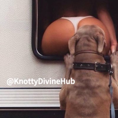 click the link in my bio to get in touch with me about my VIP k9 content chat 🦋