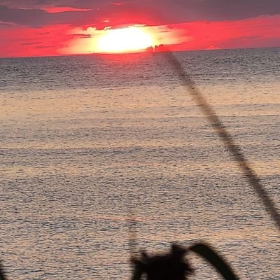 HarshTweet's profile picture. She/Her.  Resister.  Wife.  Mother.  Grandmother. Daughter.  Sister.  Bad Bitch but trying to be nice for karma's sake. Realist.