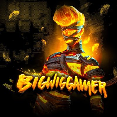 BigwigGamer's profile picture. BIGWIGGAMER playing different games #BGMI #PS5