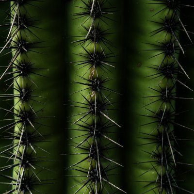 daviivers's profile picture. https://t.co/IvWIAv8JZV