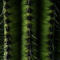 David Iversen (@daviivers) Twitter profile photo