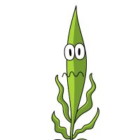 Stressed (Abiotic/Biotic) Plants (@stressed_plants) 's Twitter Profile