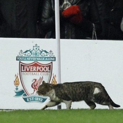 LFCffs's profile picture. Here to talk about Liverpool FC and other football-related news.✌🏻