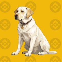Hero the Doge (@herothedoge) 's Twitter Profile