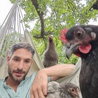 Mihalis Eleftheriou (@mihaliselef) 's Twitter Profile