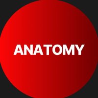ANATOMY (@anatomy96600438) 's Twitter Profile Photo ANATOMY (@anatomy96600438) 's Twitter Profile Photo