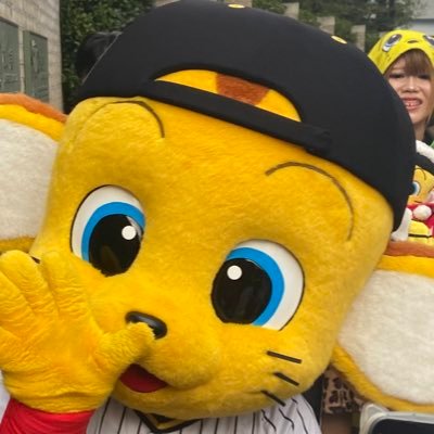 kiiyellow_351's profile picture. Tigersメインにブツクサいってます    関東在住ゆえに行く球場は関東中心 ハマスタが1番近いかな
球団マスコット：お気に入り弟トリオをカルテットにしようと思ったのに、Gのキッズのぬいぐるみ出てなかった