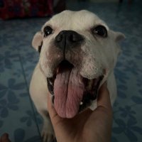 ImMoon (@immoon30) 's Twitter Profile