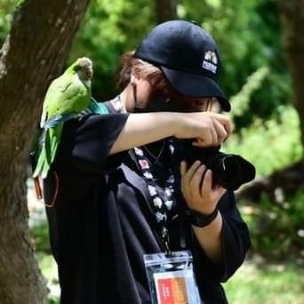 インコさんのプロフィール画像