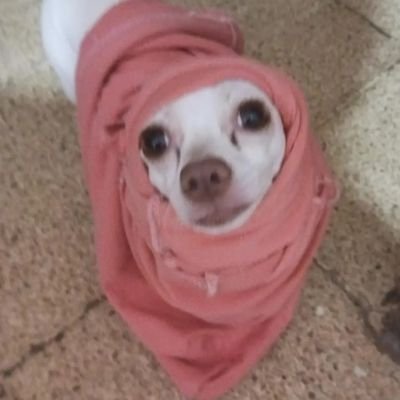 EddySanty2022's profile picture. 