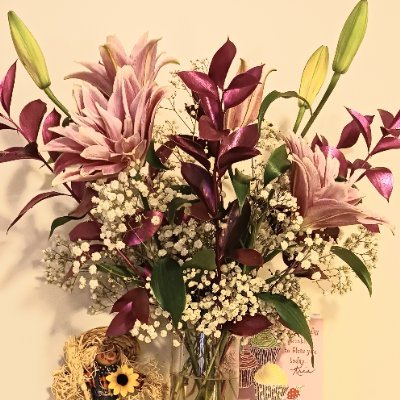 maudephd's profile picture. Doctorate British Literature - Northwestern U 
Post Grad - Electrical Eng
Graduate British Studies - NU 
However lifelong career began at 16 in a Computer Room.