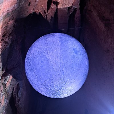 CarpetDamian's profile picture. 