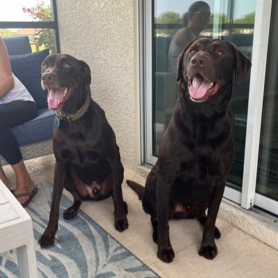 Sergio663838648's profile picture. 