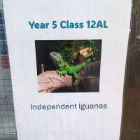 MrLintern (@mrlinternhps) 's Twitter Profile