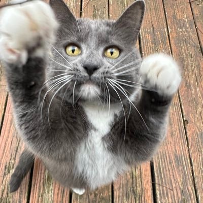 kfle_ur's profile picture. simply another of the universe’s failed experiments