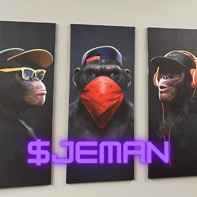 jeman_v's profile picture. Buy:https://t.co/FJRT2wfCZ1
Contract: TXapPYKY4bc3yh7pxTjjsaoSDVRmkiGH8e